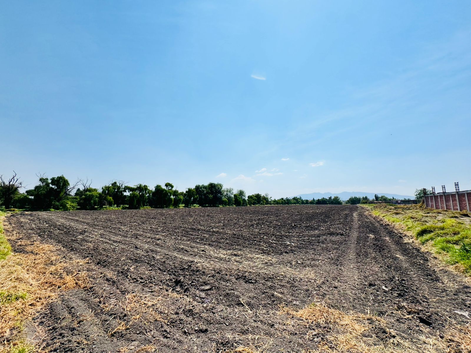 Terreno en venta, San Bartolo Teoloyucan Estado de México.